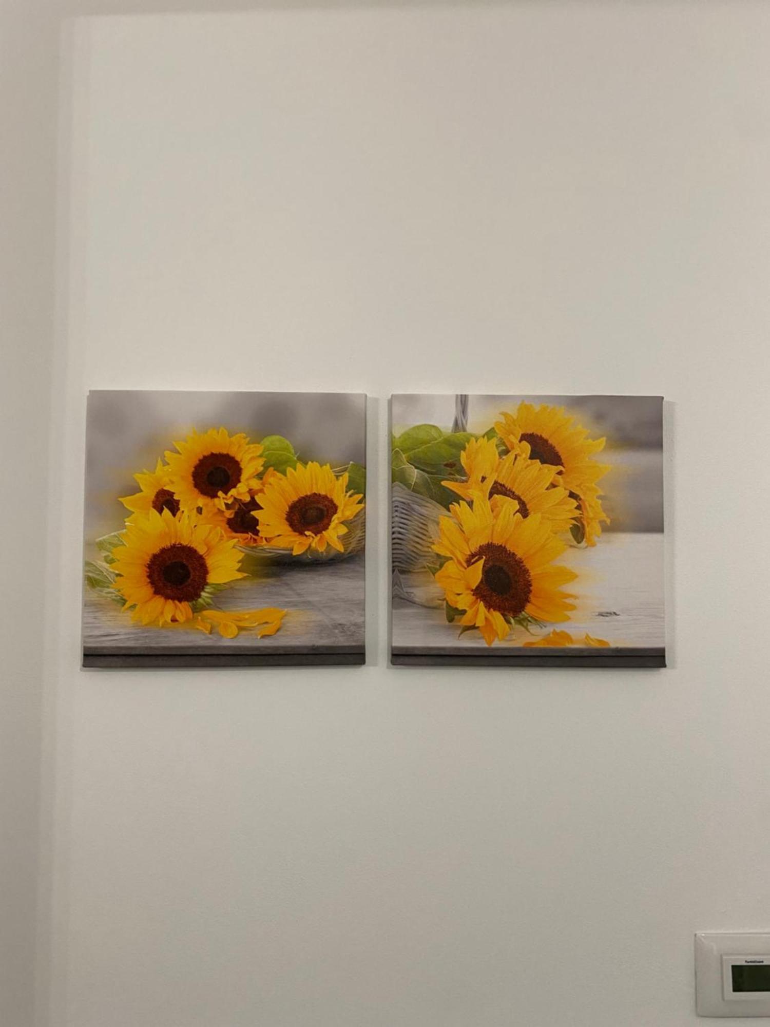 Houses Of Flowers 스피니아 외부 사진